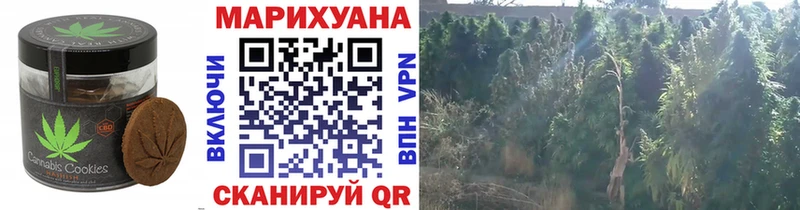 Еда ТГК марихуана  Екатеринбург 