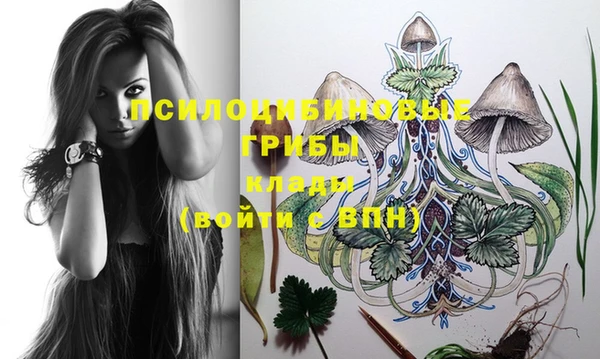марки lsd Абаза
